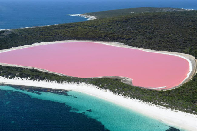 Hồ Hillier, Australia: Màu nước hồng  dưới hồ tương phản với nước trong xanh ngoài biển Thái Bình Dương gần đó. Nguồn gốc của màu nước trong hồ vẫn còn là một bí ẩn, nhưng phần lớn các giả thuyết cho rằng, nó liên quan tới nồng độ muối cao trong hồ.
