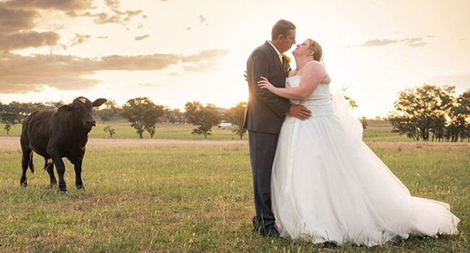 Đứng nhìn ngắm cặp đôi với ánh mắt ghen tị.