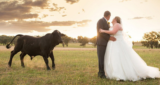 Cặp đôi bắt đầu phát hiện ra có kẻ phá đám.