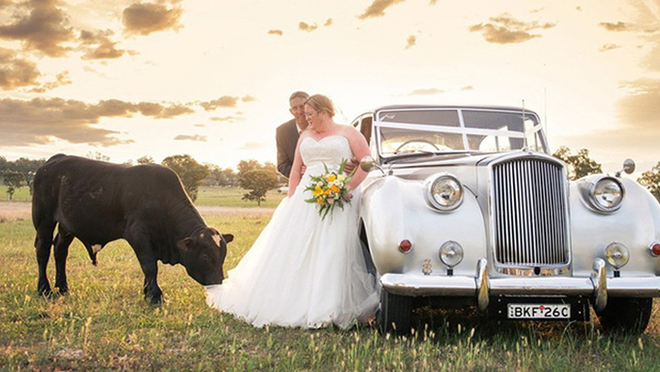 Chỉ vào làm quen thôi chứ không có ý gì khác nha.