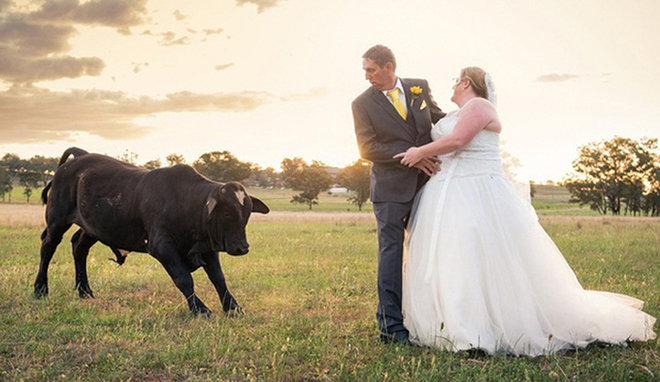 Tỏ vẻ giận dữ khi không được chú ý.