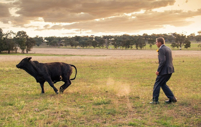 "Trẻ trâu" quay đầu bỏ chạy ngay lập tức.