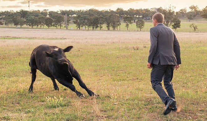 Anh chồng phải quay ra đuổi "trẻ trâu" phá đám.