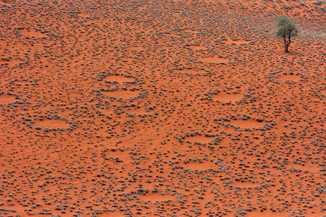 Vòng tròn cổ tích, Namibia: Các giả thuyết cho rằng, những vòn tròn bí ẩn trên sa mạc ở Namibia được tạo ra cách đây hàng triệu năm bởi chúa trời, người ngoài hành tinh hay mối. Nhưng cho đến nay các nhà khoa học vẫn chưa tìm ra một giải thích phù hợp nhất.
