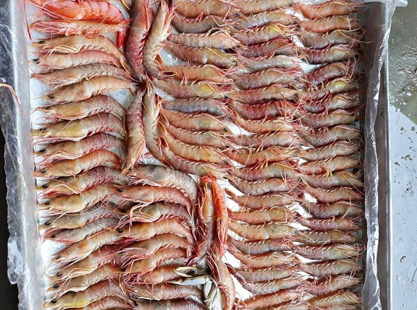 Nhờ livestream bán hàng, những ngày dịch chị Thu vẫn xuất hàng chục đơn hàng đi các tỉnh