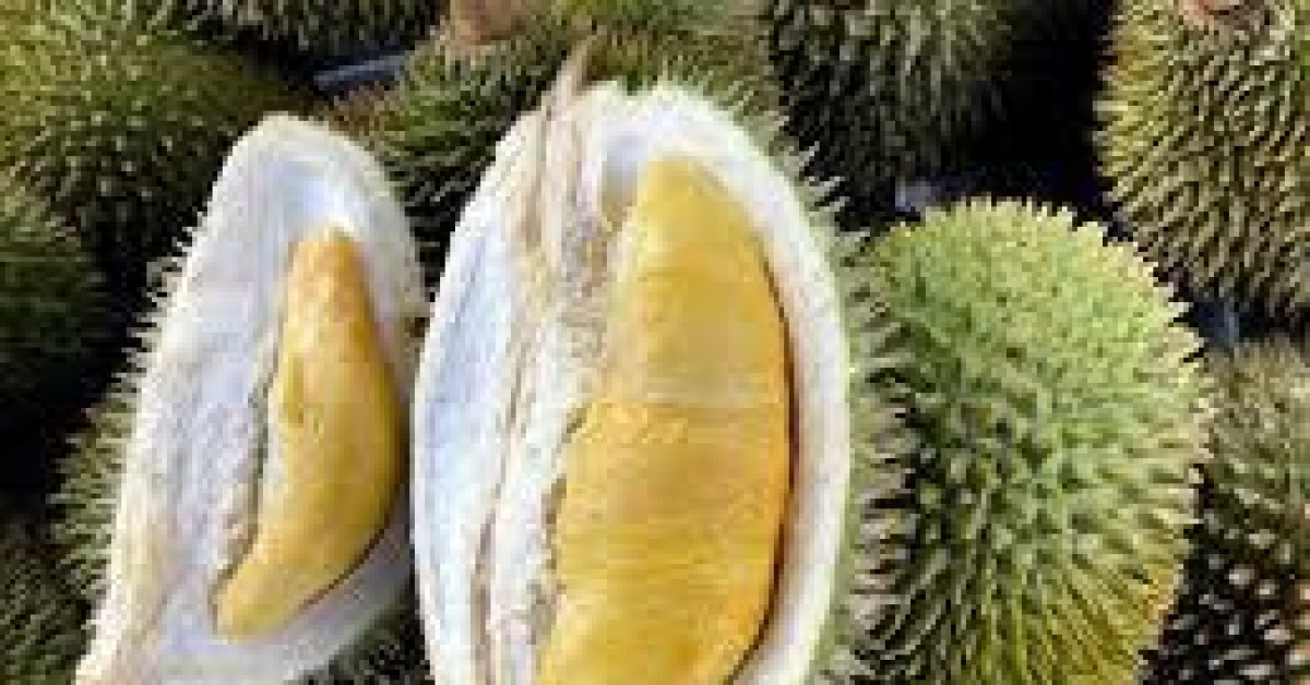 Sức khỏe đời sống - "Ăn sầu riêng rồi uống coca bị tử vong" là tin đồn nguy hại, vô căn cứ