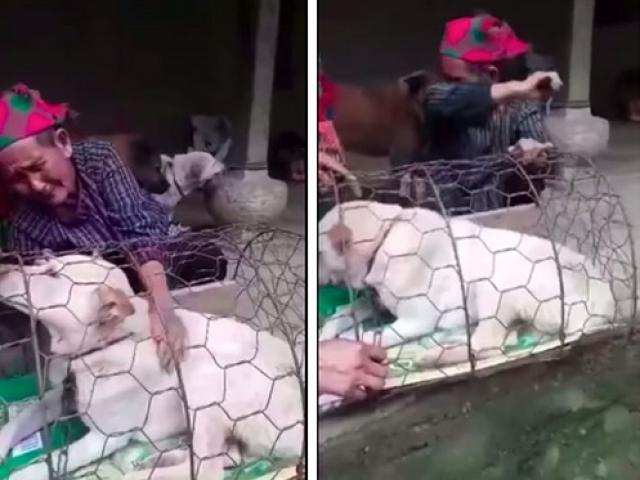 Bạn trẻ - Cuộc sống - Xúc động cảnh cụ bà H'Mông bật khóc khi phải bán chó, thanh niên vượt 140km tặng lại