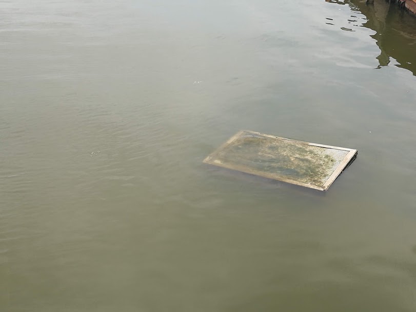 Nước Hồ Tây cũng đang thấp khiến hệ thống máy sục khí Nano nổi lên trên mặt nước.