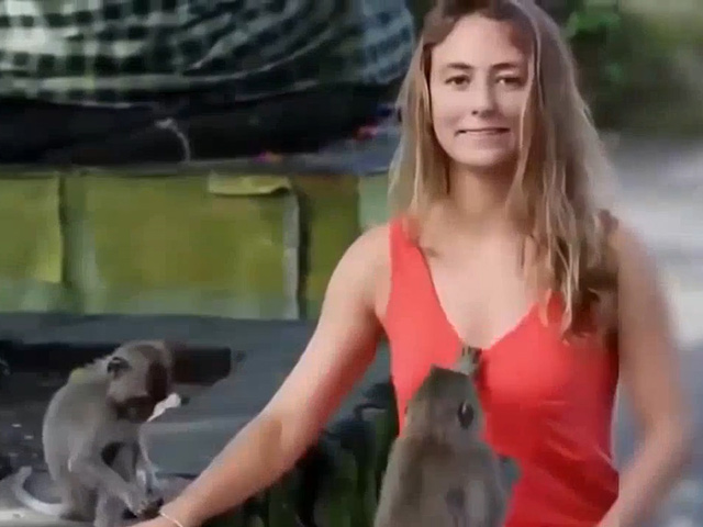 Video Clip Cười - Các người đẹp khóc thét khi bất ngờ bị khỉ "sàm sỡ" chốn đông người