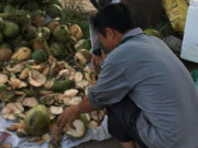 Thị trường - Tiêu dùng - Dân buôn dừa giải khát tại Hà Nội “hái ra tiền” những ngày nắng nóng