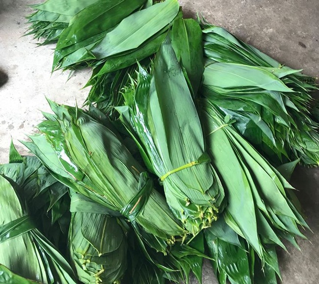 Lá tre nhỏ, thon, dẹp, thuôn nhọn về phía đầu, sắc.
