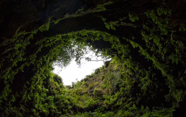 Algar do Carvão, Bồ Đào Nha: Hang động Algar do Carvão là một mạch núi lửa cổ đại nằm giữa đảo Terceira. Lối vào của hang có nhiều cây, khiến du khách có cảm giác như đang bước vào một khu rừng.

