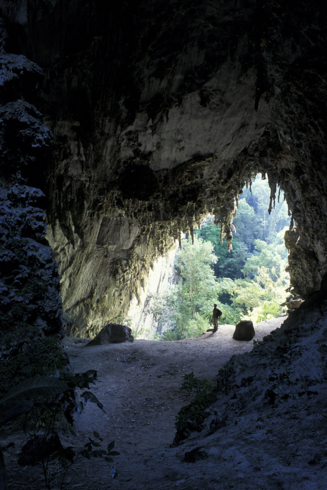 Temimina, Brazil: Đây là một hang động nhỏ nằm trong vườn quốc gia Alto Ribeira ở São Paulo. Khu bảo tồn thiên nhiên này nổi tiếng với nhiều hang động.
