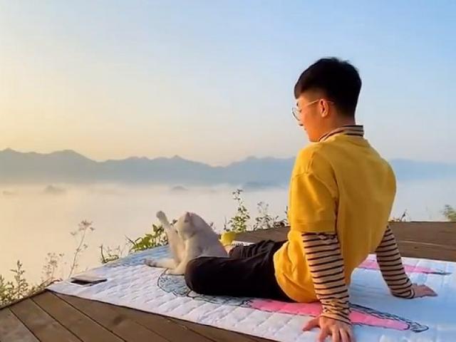 Bạn trẻ - Cuộc sống - Được sen "cầm tay đi khắp thế gian", boss mèo khiến cư dân mạng phát cuồng