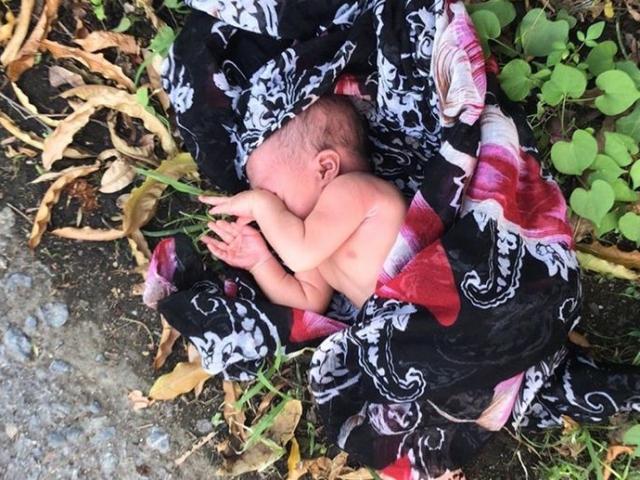 Phi thường - kỳ quặc - Nghe thấy tiếng động lạ ven đường, tiến đến gần phát hiện điều bất ngờ