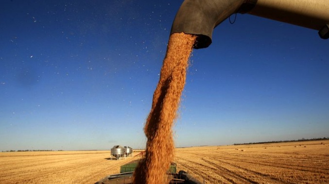 Trung Quốc đã tăng thuế thêm 80% đối với lúa mạch nhập khẩu từ Úc.