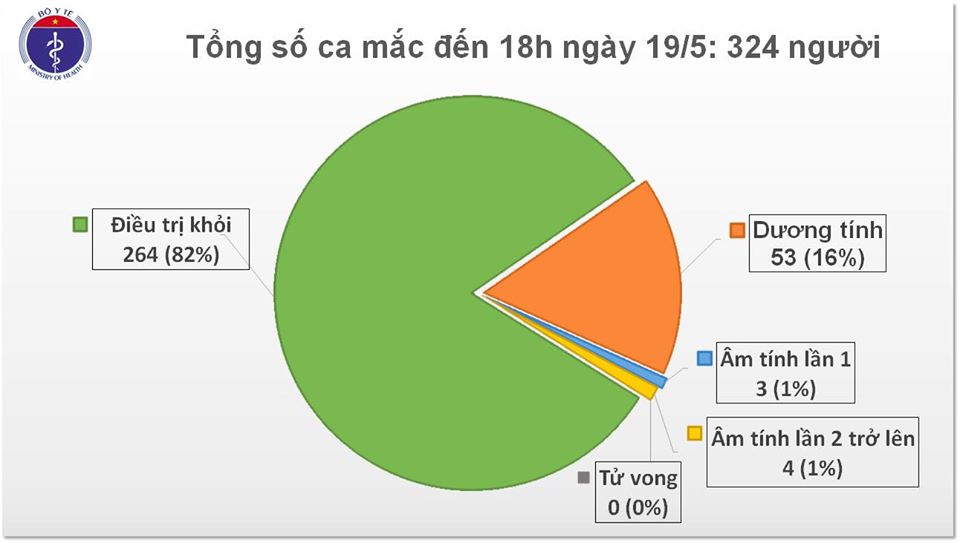 Việt Nam còn 53 ca dương tính với SARS-CoV-2 - 1