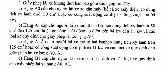 Đi xe máy điện cũng cần có bằng lái xe - 1