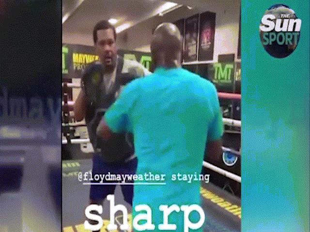 Thể thao - Mayweather đấm kinh hoàng, tái xuất lấy 600 triệu USD không phải đùa