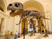 Thắc mắc vì sao không được tự do chụp ảnh trong bảo tàng?