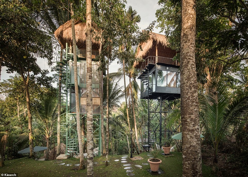 Bên trong khách sạn cây ở Bali chỉ có giá 25 USD/đêm - 1