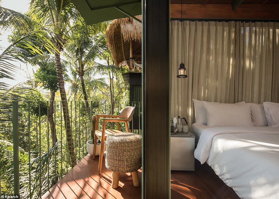 Bên trong khách sạn cây ở Bali chỉ có giá 25 USD/đêm - 8