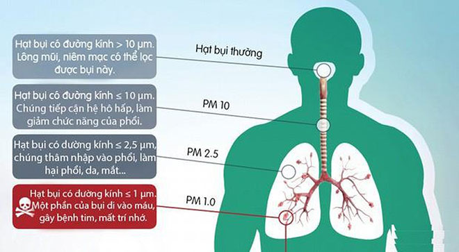 Công nghệ lọc khí nào lọc được bụi mịn PM 1.0? - 1