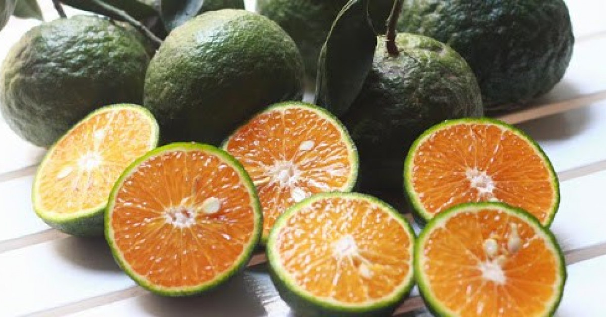 Hạt cam mang lại nhiều lợi ích cho sức khỏe. Ảnh: Internet