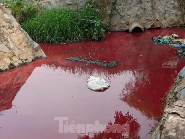Tin tức trong ngày - Con suối xuất hiện màu đỏ như máu ở Bình Dương