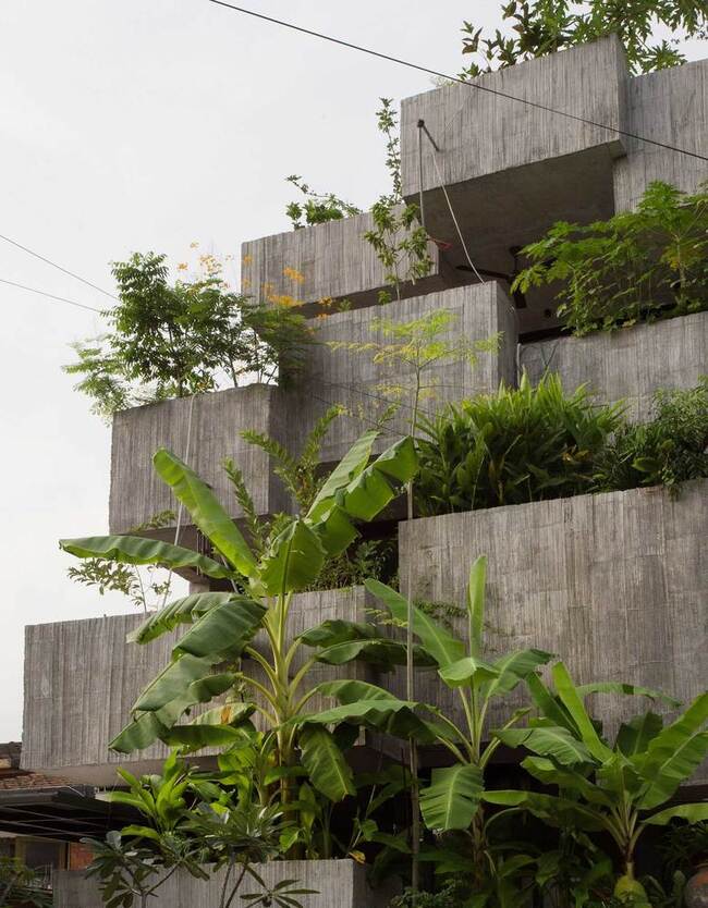 Ngôi nhà với các hộp trồng bê tông xếp tầng với hơn 40 loại cây ở mỗi tầng, tạo ra sự tương phản thị giác mạnh mẽ với các tòa nhà xung quanh.

