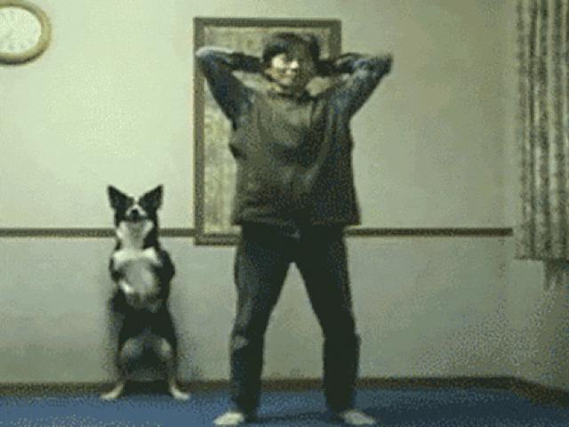 Tranh vui - Sen ngỡ ngàng với những màn thể hiện bá đạo của "boss"