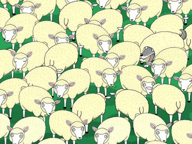 Giáo dục - du học - Thử tài tinh mắt tìm thử bị ẩn trong các bức ảnh sau