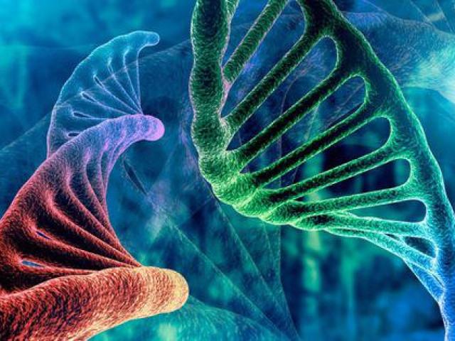 Sức khỏe đời sống - Chính cơ thể sẽ quyết định ung thư có di căn hay không?