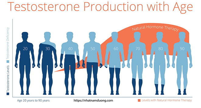 Lượng hormone testosterone suy giảm theo độ tuổi.