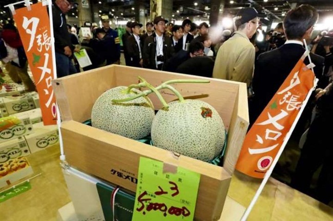 Trong phiên đấu giá năm ngoái ở Hokkaido, cặp dưa lưới Yubari đã được mua với giá kỷ lục 5 triệu yên (~1 tỷ đồng).

