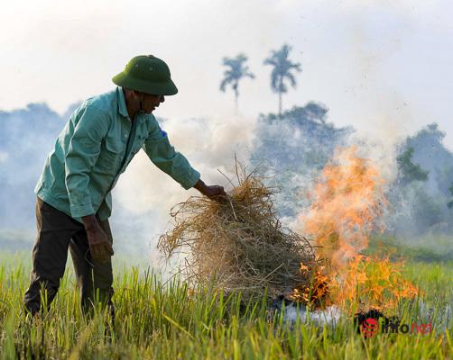 Đốt rơm rạ sau mà thu hoạch lúa đã thành thói quen của người nông dân ở nhiều nơi.