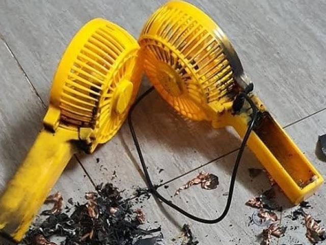Thị trường - Tiêu dùng - Quạt sạc mini cầm tay giá rẻ bán tràn lan, người mua coi chừng rước họa vào thân