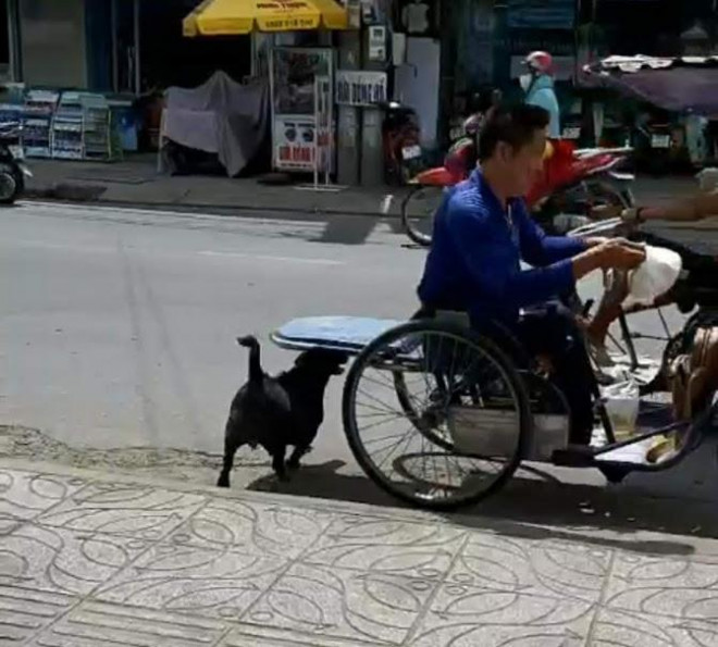 Rồi chạy ra xe đưa cho chủ tật nguyền