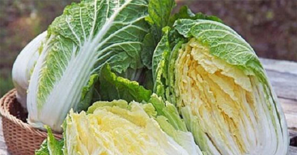 Ẩm thực - Đừng vội ăn cải thảo nếu bạn chưa biết những điều này