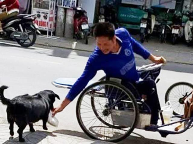 Tin tức trong ngày - Clip: "Rụng tim" với chú chó xoáy Phú Quốc thay chủ tật nguyền xếp hàng nhận gạo