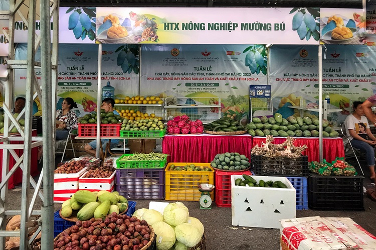 Tuần hàng trái cây, nông sản các tỉnh, thành phố tại Hà Nội năm 2020 diễn ra trong 5 ngày từ 30/5 – 3/6 trong khuân viên siêu thị BigC Thăng Long Hà Nội.