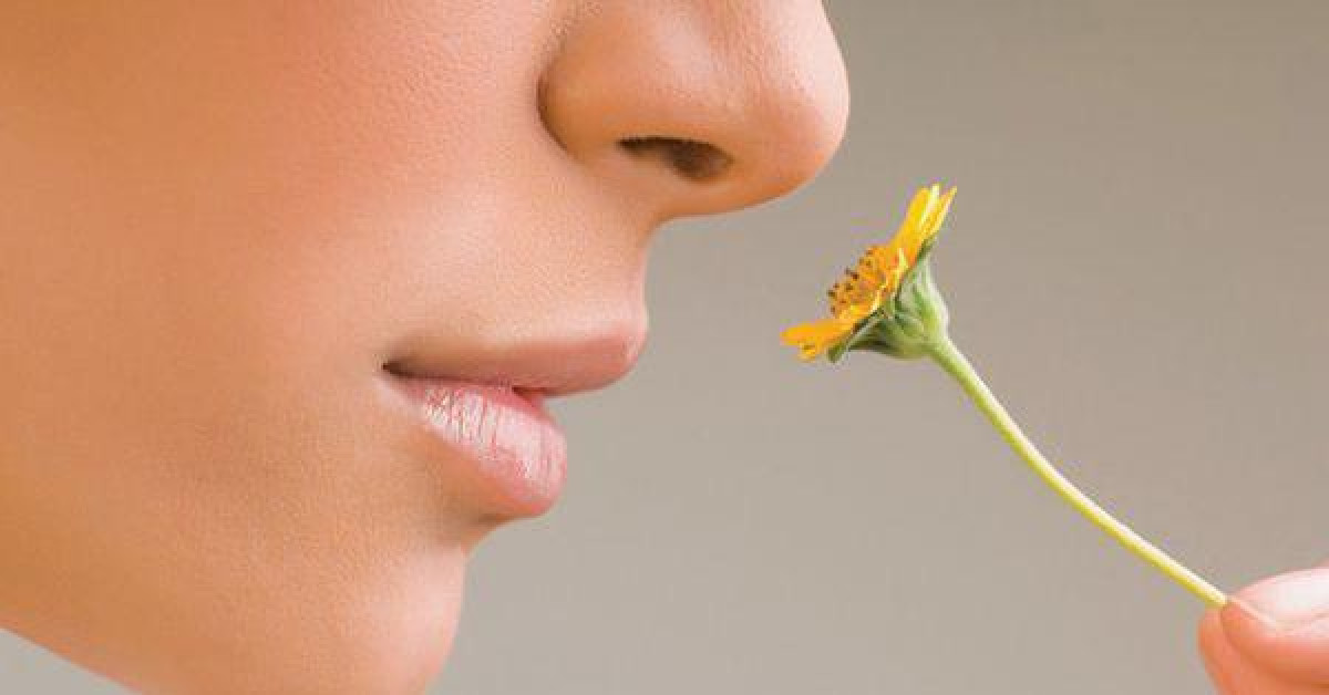 Sức khỏe đời sống - Bàng hoàng phát hiện mắc bệnh nguy hiểm chỉ từ dấu hiệu rối loạn khứu giác
