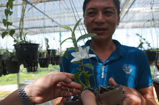 "Một bông hoa đạt đến đỉnh cao thì được rất nhiều người yêu mến, mình may mắn sở hữu được vẻ đẹp đó nên rất trân quý", anh Khải cho hay
