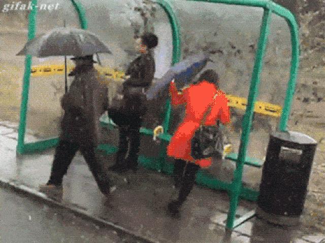 Tranh vui - Hài hước với những con người "số nhọ" nhất quả đất