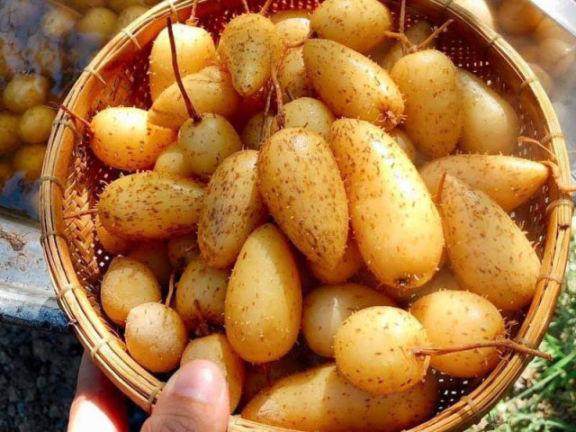 Ẩm thực - Trời cực nắng nóng có một loại củ ăn mát cả người nhưng mang cái tên nghe "ngồ ngộ"