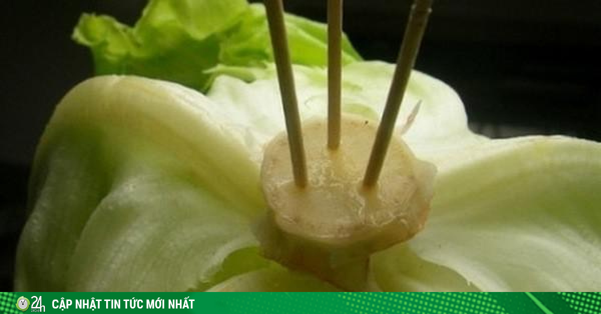 Cắm 3 que tăm vào cuống xà lách, mẹo nhỏ kì lạ nhưng khi biết tác dụng chị em đua nhau làm