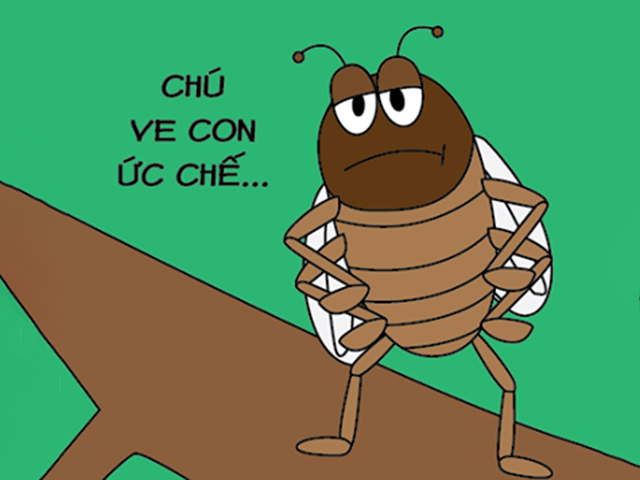 Tranh vui - Lý do khiến ve kêu to liên tục vào mùa hè