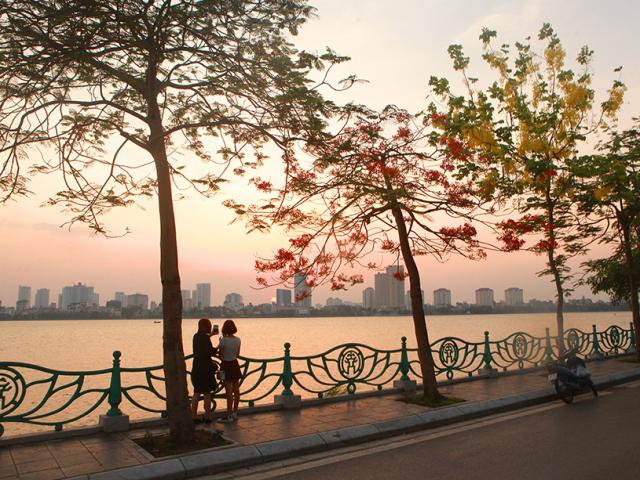 Tin tức trong ngày - Phượng khoe sắc đỏ, Hà Nội bỗng đẹp như tranh vẽ