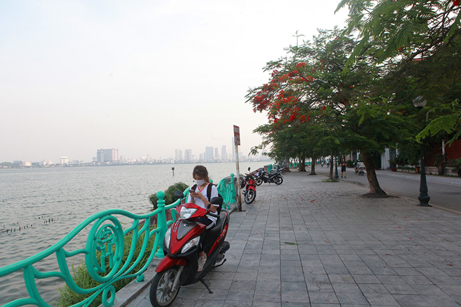 Phượng vĩ bật nở cũng là lúc bước vào mùa thi, nhiều học sinh, sinh viên đã tìm đến đây để ôn bài, ngắm thành phố bên mặt hồ thênh thang.