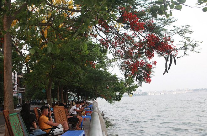 Tuyệt vời hơn nữa, ngồi thưởng thức ly cà phê, nước hoa quả… ngắm hoàng hôn qua những cánh phượng hồng như quên đi một ngày làm việc mệt nhọc.